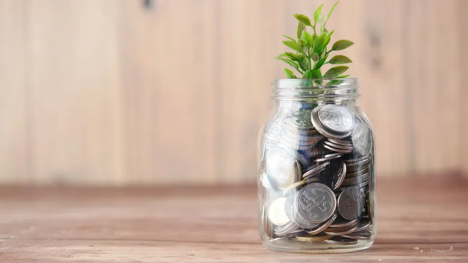 A green plant growing from a glass jar filled with coins.